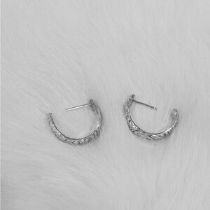 Stealing silver earrings